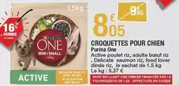 Carrefour Purina - croquettes pour chien offre