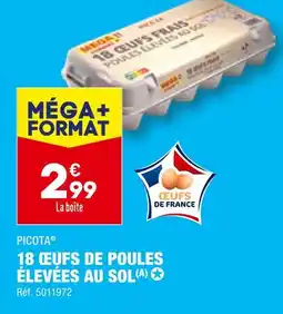 ALDI PICOTA 18 ŒUFS DE POULES ÉLEVÉES AU SOL offre