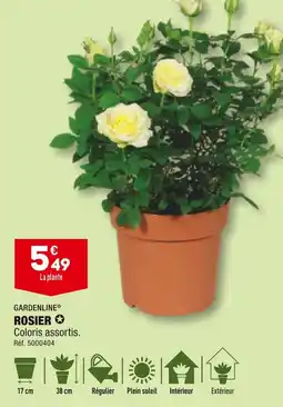 ALDI GARDENLINE ROSIER offre