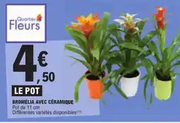 E.Leclerc BROMÉLIA AVEC CÉRAMIQUE offre
