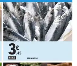 E.Leclerc SARDINE offre
