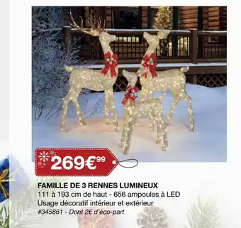Costco Famille De 3 Rennes Lumineux offre