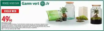 Gamm vert Kit Terrarium Jungle offre