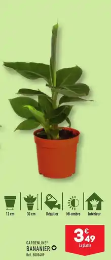ALDI GARDENLINE® BANANIER✪ offre