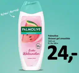 Normal Palmolive Shower gel smoothie 500 ml offre
