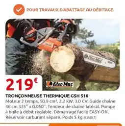 Rural Master TRONÇONNEUSE THERMIQUE GSH 510 offre
