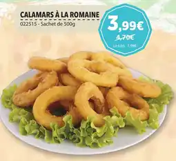 Gel 2000 CALAMARS À LA ROMAINE offre
