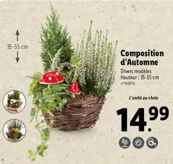 Lidl Composition d'automne offre
