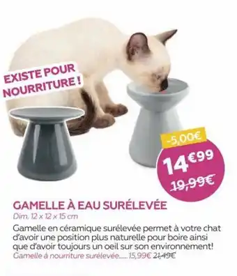 Gamelle à eau surélevée