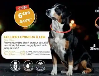 Collier Lumineux Ă Led