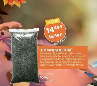 Tournesol Strié