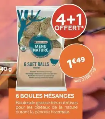6 Boules Mésanges