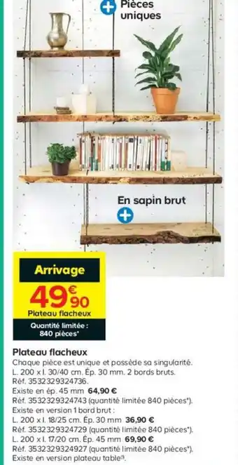 Castorama Plateau Flacheux offre