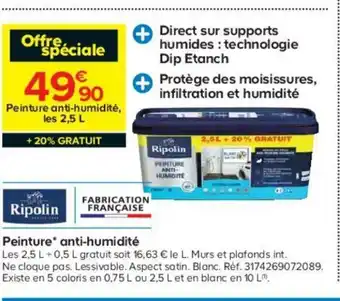 Castorama Peinture Anti-Humidité offre