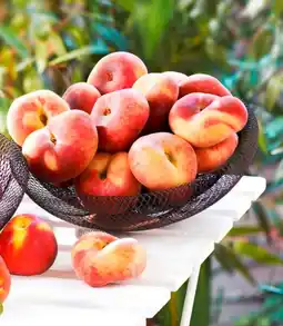 Carrefour Market Pêche plate offre