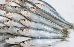Carrefour Sardine offre