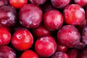 Carrefour Prune rouge offre