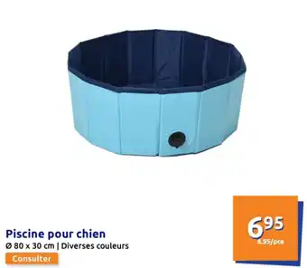 Action Piscine pour chien offre