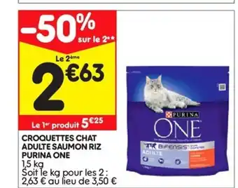 Croquettes chat
