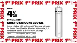 MASTIC SILICONE 300 ML
