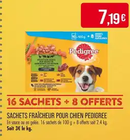 Match PEDIGREE SACHETS FRAÎCHEUR POUR CHIEN offre