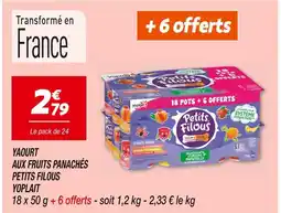 Netto YOPLAIT YAOURT AUX FRUITS PANACHÉS PETITS FILOUS offre