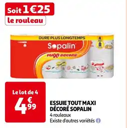 Auchan ESSUIE TOUT MAXI DÉCORÉ SOPALIN offre