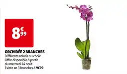 Auchan ORCHIDÉE 2 BRANCHES offre