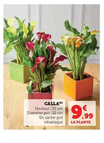 Hyper U CALLA offre