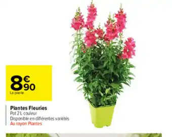 Carrefour Market Plantes Fleuries offre