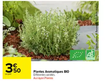 Carrefour Market Plantes Aromatiques Bio offre