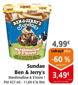 Ben & Jerry's Sundae