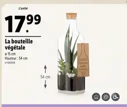 Lidl The Green Bottle GARDEN La bouteille végétale offre