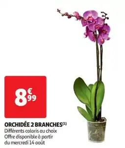 Auchan Supermarché ORCHIDÉE 2 BRANCHES(¹) offre