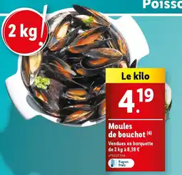 Lidl Moules de bouchot (6) offre