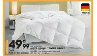ALDI Couette En Plumes Et Duvet De Canard Home Creation Living® offre