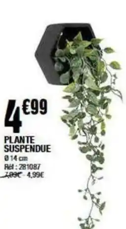 La Foir'Fouille PLANTE SUSPENDUE offre