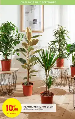 Intermarché Hyper PLANTE VERTE POT 21 CM offre