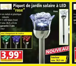 Norma Piquet de jardin solaire à LED offre