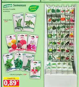Norma Sanreproche Semences offre