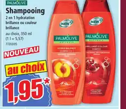 Norma Shampooing offre