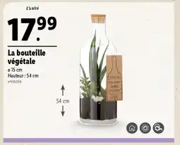Lidl La bouteille végétale offre