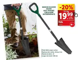 Lidl Pelle offre