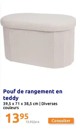 Action Pouf de rangement en teddy offre