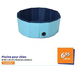 Action Piscine pour chien offre