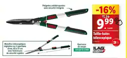 Lidl Taille-haies télescopique offre