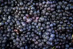 Carrefour Raisin noir offre