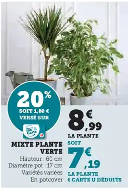Super U MIXTE PLANTE VERTE offre
