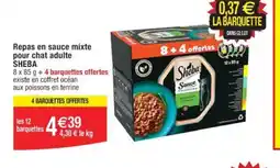 Cora x Carrefour Repas en sauce mixte pour chat adulte offre