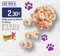 Match GROSSE QUEUE DE CREVETTE offre